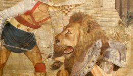 barbary-lion-newromefreetour