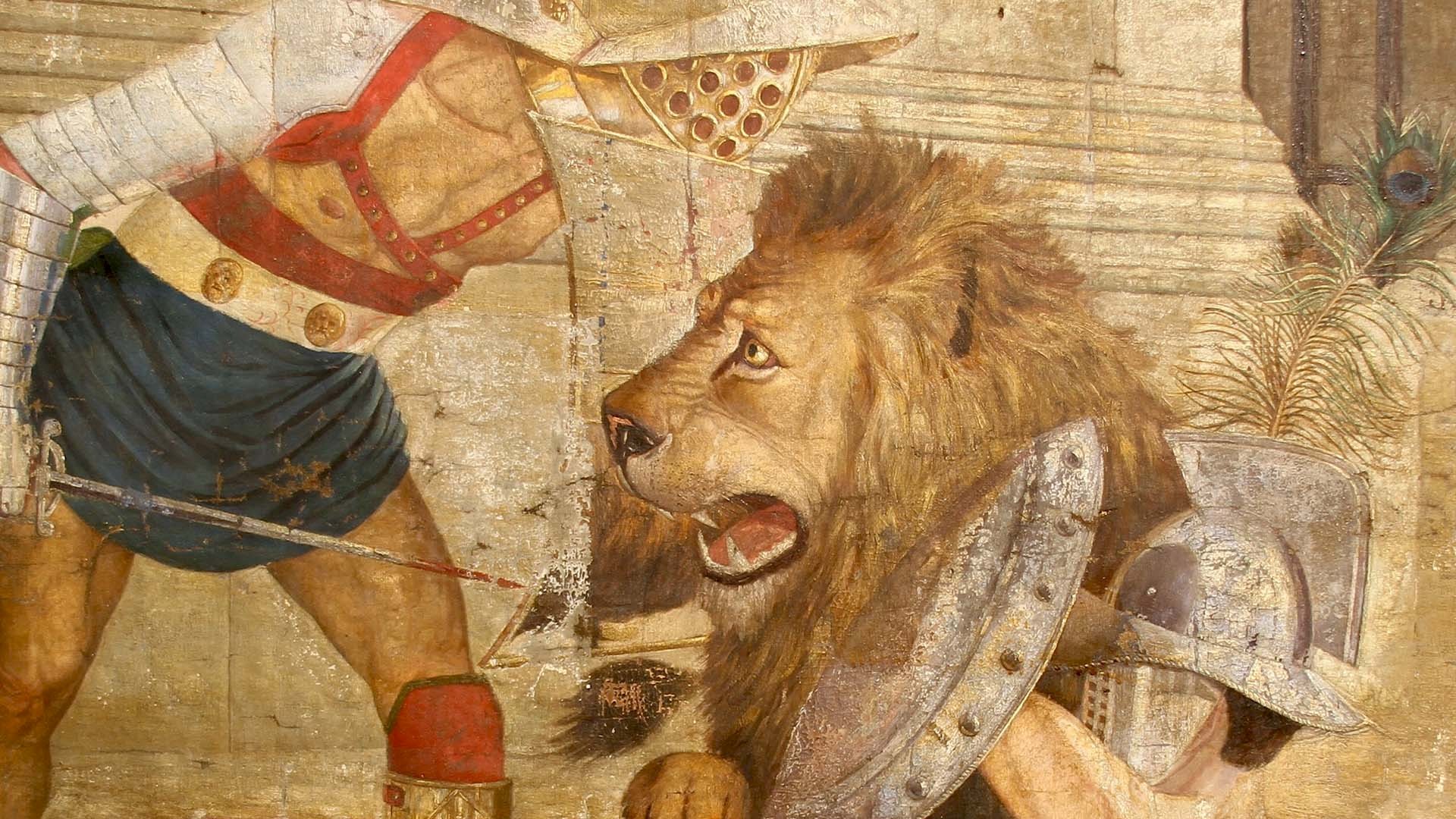 Not just lions in the Colosseum | New Rome Free Tour
